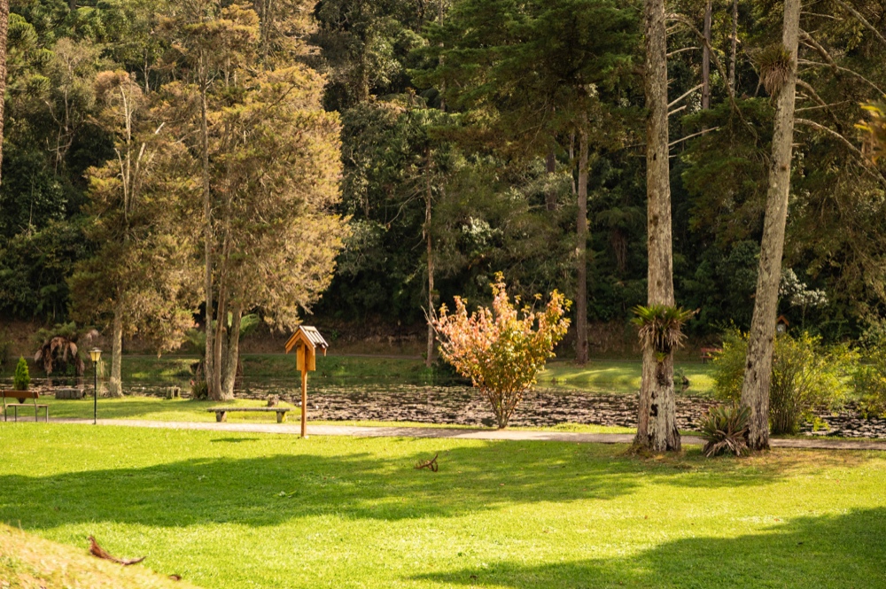 Jardim ao redor do Chalé