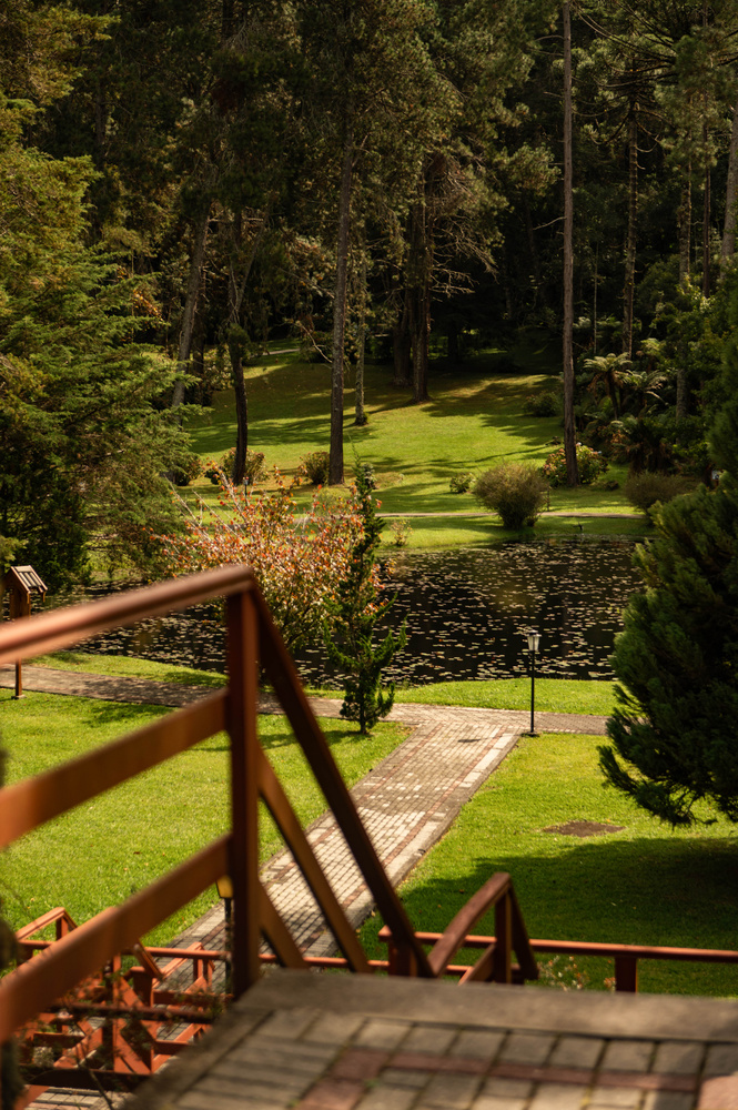 Caminho entre os jardins visto da escadaria