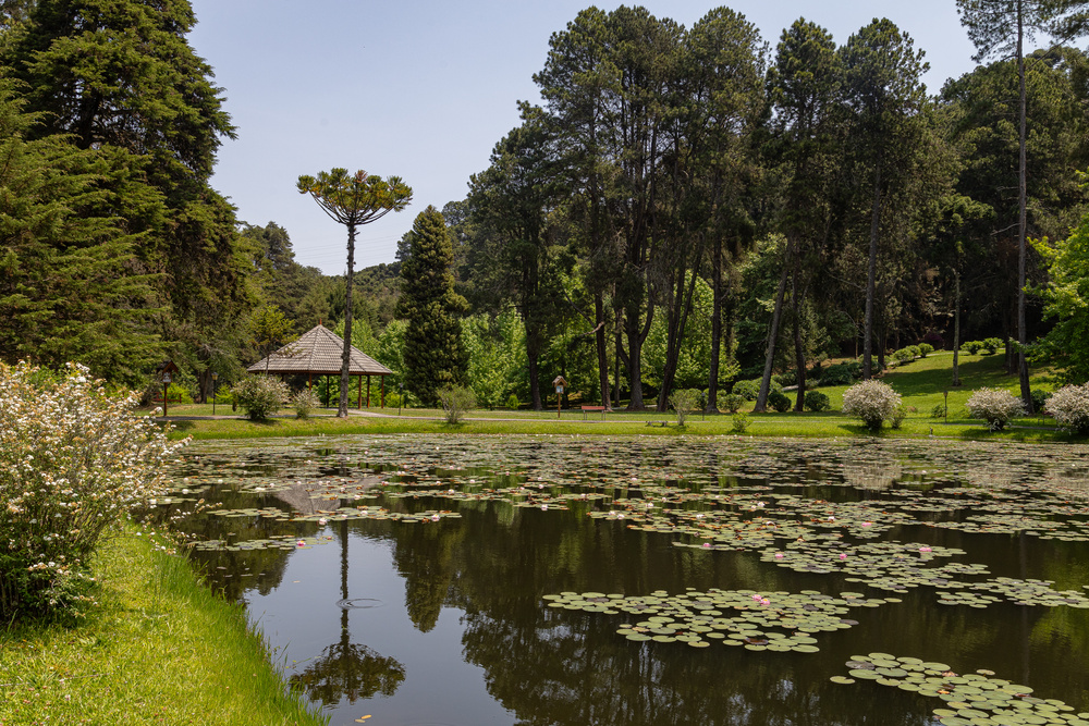 Lago cercado pelos jardins da Vila Dom Bosco