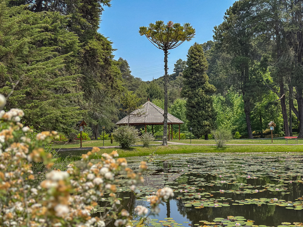 Lago e gazebo entre as árvores da Vila Dom Bosco